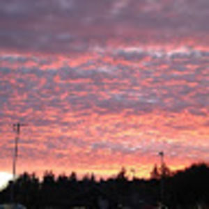 Meet your Posher, Lillian